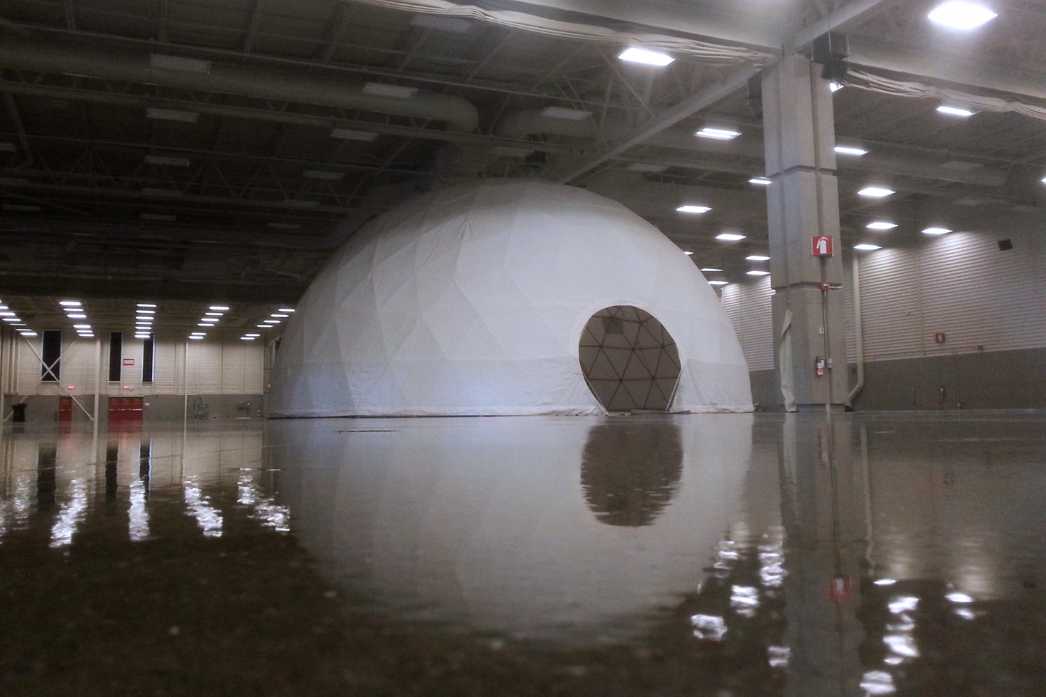 Nest Dome