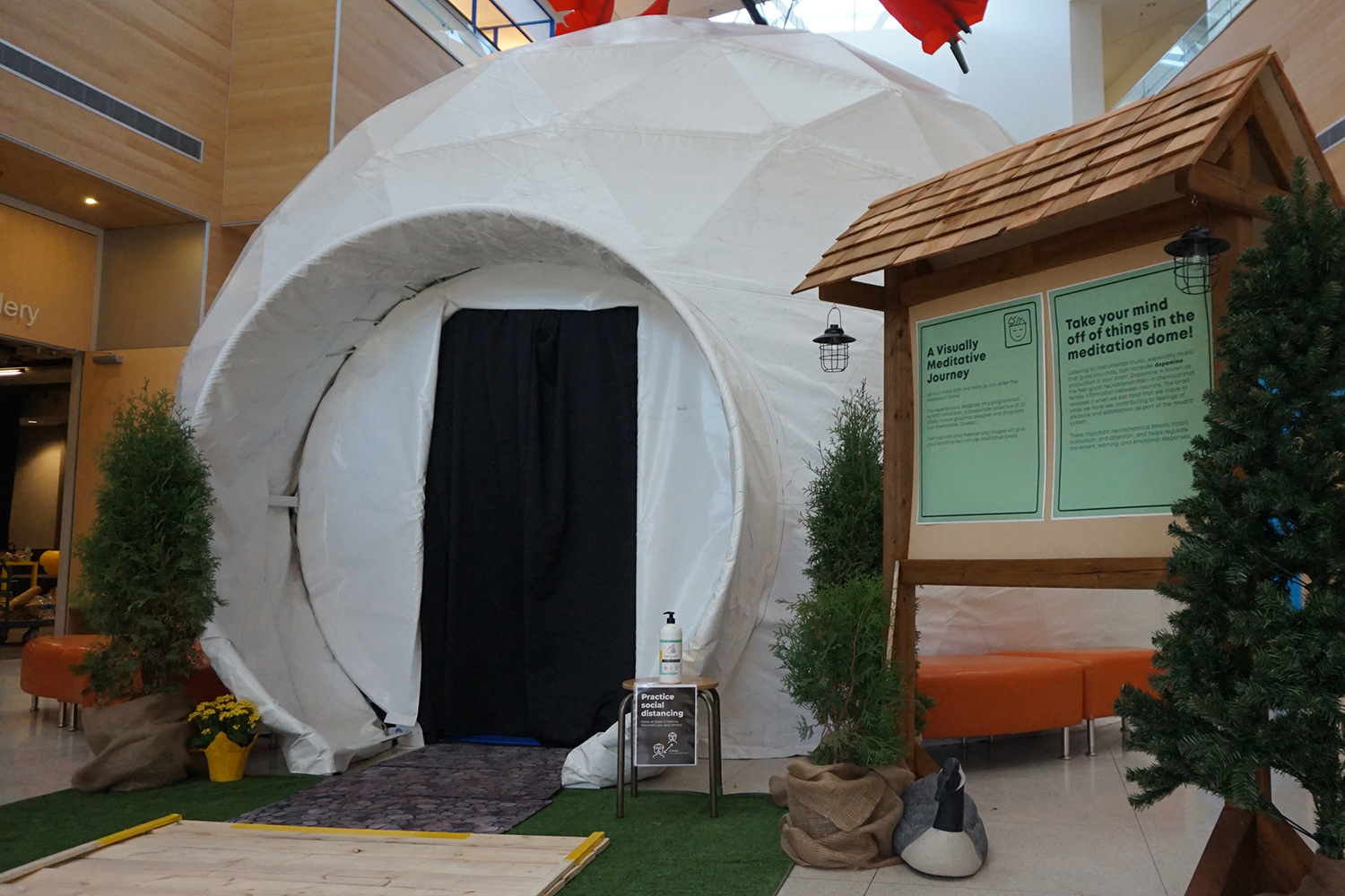 Nest Dome